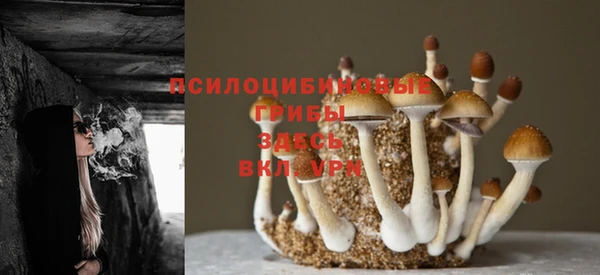 МДМА Волоколамск