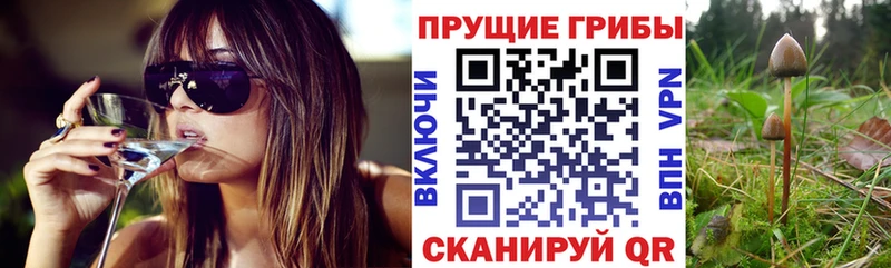 Псилоцибиновые грибы прущие грибы  Купить закладки  Болгар 